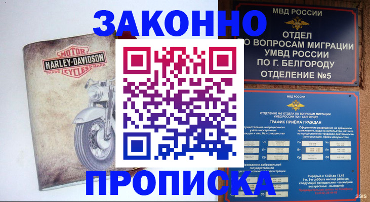 прописка для школы в Светлом